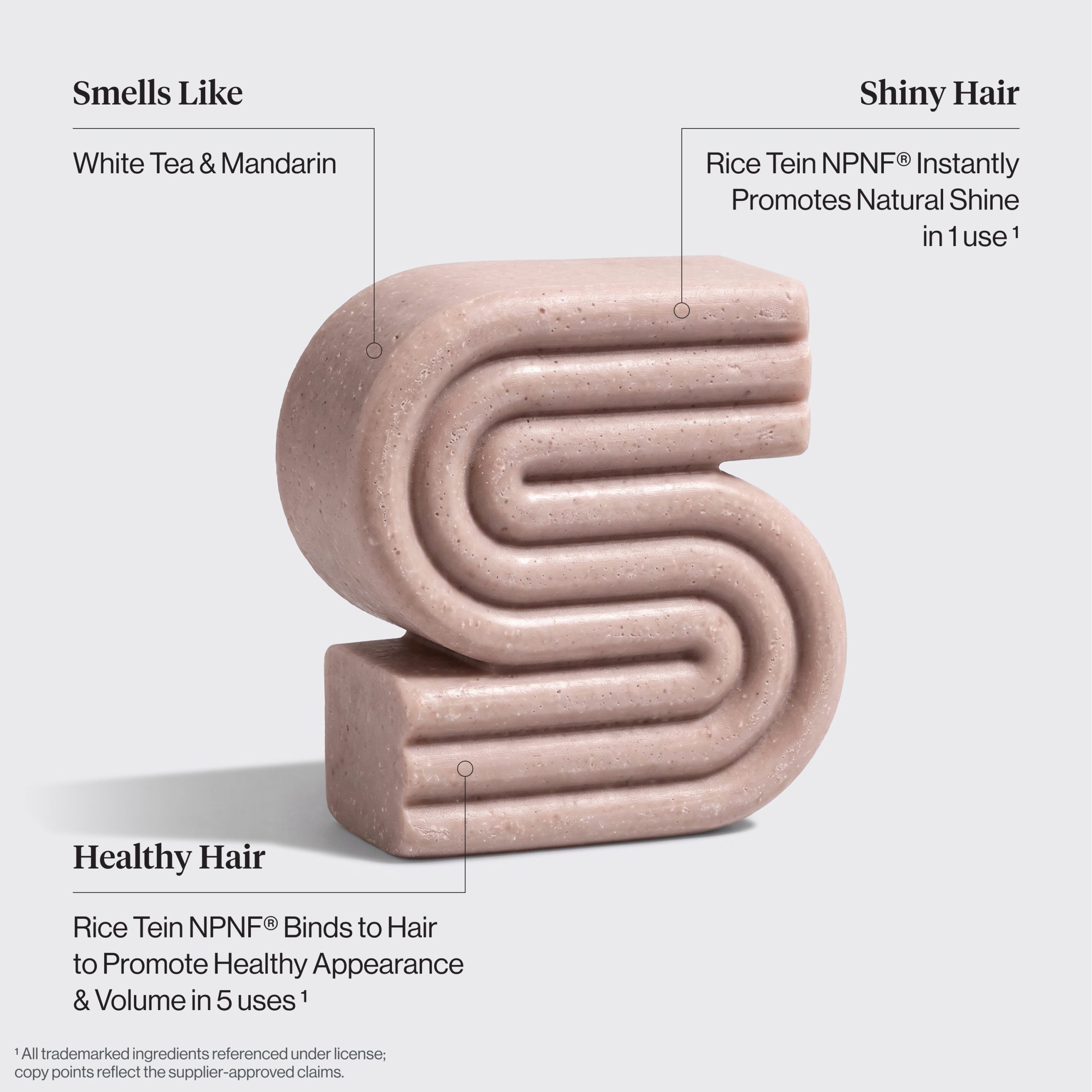 Rice Water Shampoo & Conditioner. Kojic Acid Wash. FREE Terracotta Soap Dish & FREE Shipping - Image 3